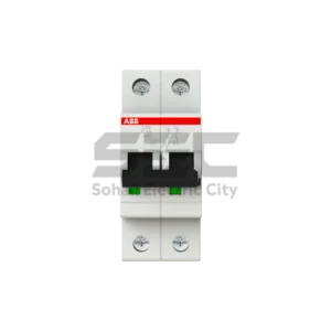 ABB S202 10kA 2 Pole Miniature Circuit Breaker (C Curve)