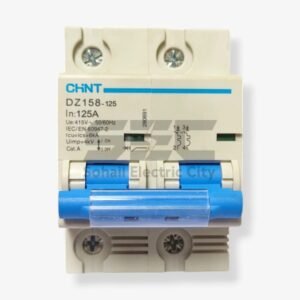 CHINT DZ158-125 125A Double Pole AC Miniature Circuit Breaker – High Current Protection