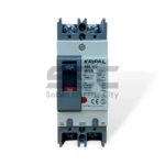 Kripal ABE-102 MCCB 125A – 2 Pole Molded Case Circuit Breaker, 690V