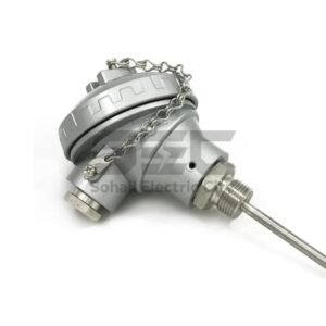 PT100 RTD Temperature Sensor with 6-inch Stainless Steel Probe | Connection Head | Up to 1200°C
