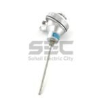 PT100 RTD Temperature Sensor with 6-inch Stainless Steel Probe | Connection Head | Up to 1200°C
